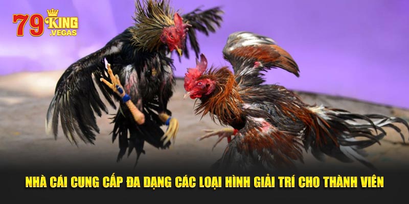 Chương trình ưu đãi được nhà cái tổ chức cho hội viên Chương trình ưu đãi được nhà cái tổ chức cho hội viên